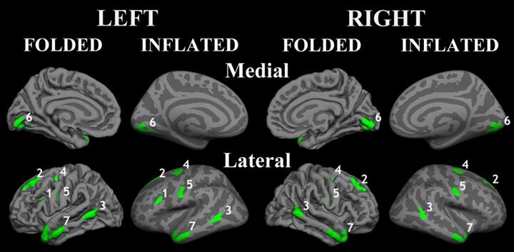 figure_2_copy